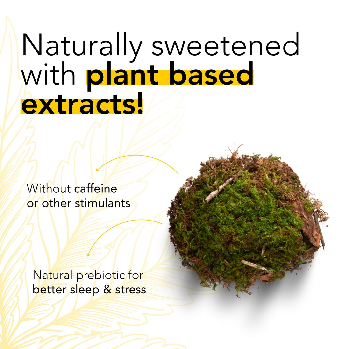 Cortisol Balance | Natural Supplement for Stress