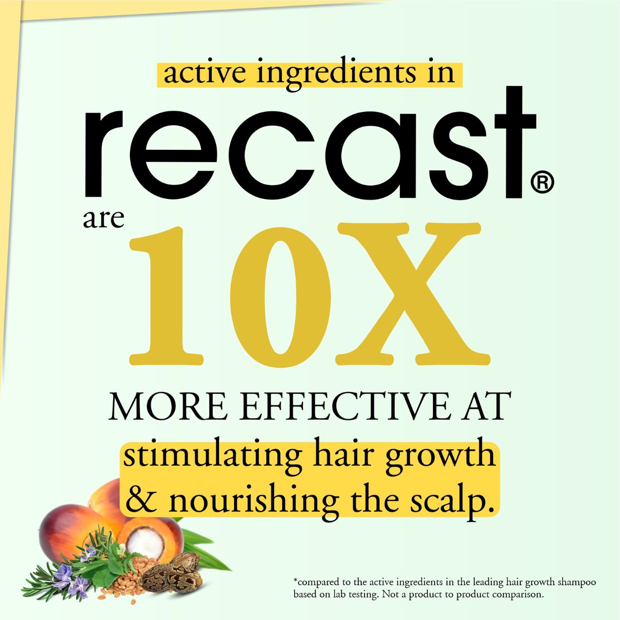 Batana, Rosemary, & Castor Hair Regrowth Oil