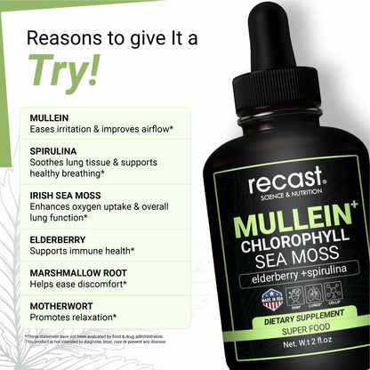 Mullein Chlorophyll Drops
